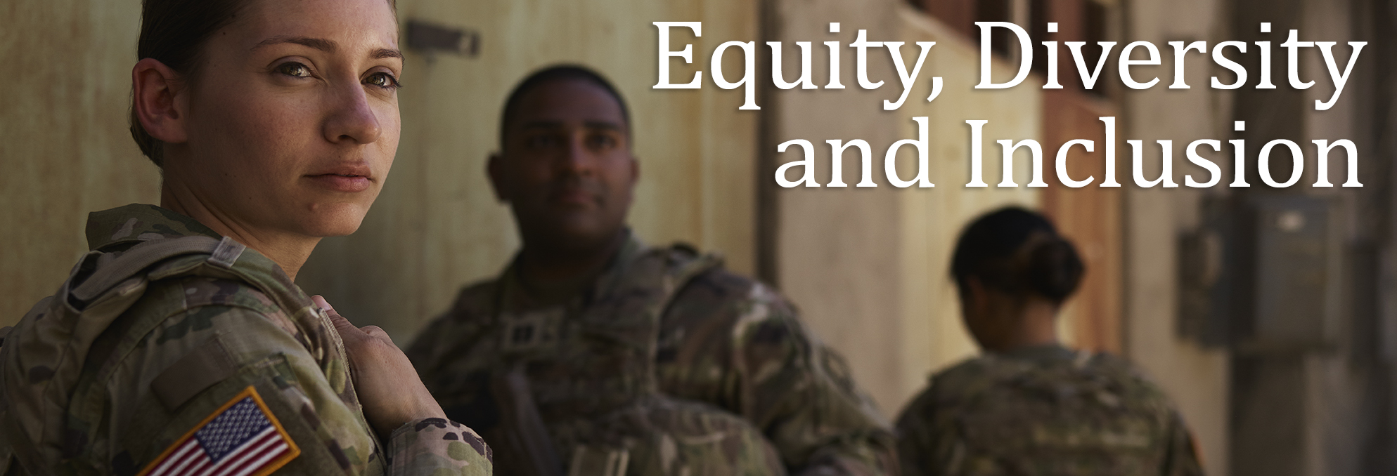 EDI equity diversity inclusion banner