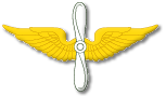 Aviation branch insignia