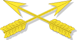Special Forces branch insignia