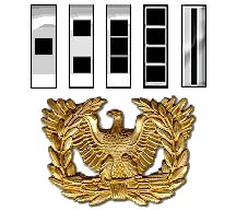 Image of Warrant Officer ranks